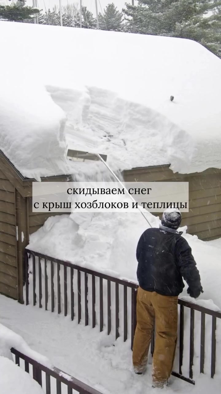 Февральские работы в саду: подготовка инструмента и семян — Матур Сад