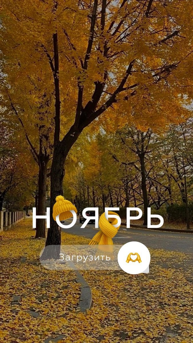 Сад поздней осенью, подготовка к зиме — Матур Сад, Казань