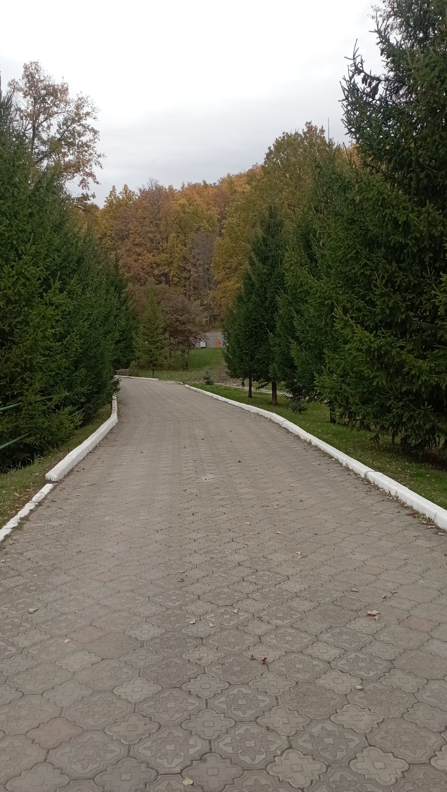 Осеннее озеленение участка в Алексеевском районе Татарстана