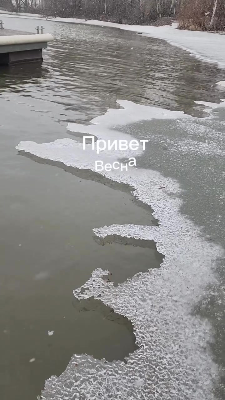Весенняя обрезка деревьев в саду специалистами Матур Сад в Казани