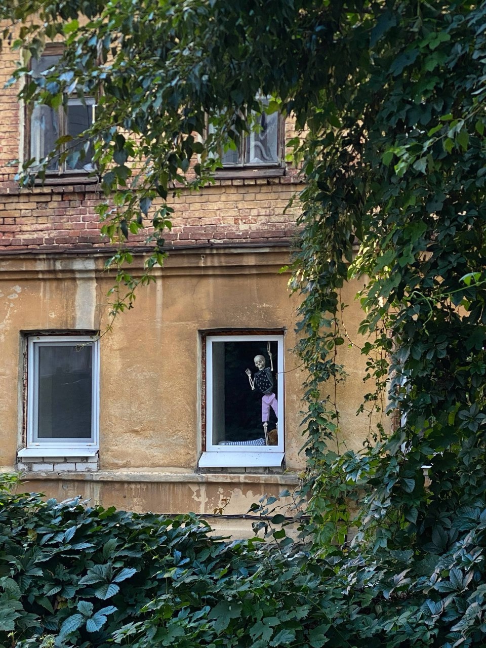 Работы в саду в начале сентября — обрезка кустарников и уход за участком в Татарстане