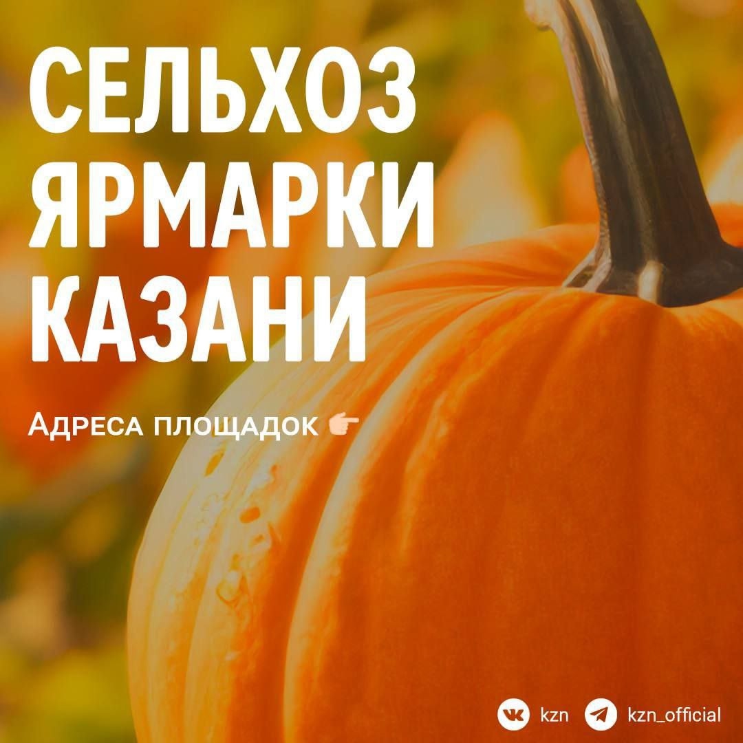 Осенние сельхозярмарки в Казани и Татарстане — урожай местных фермеров